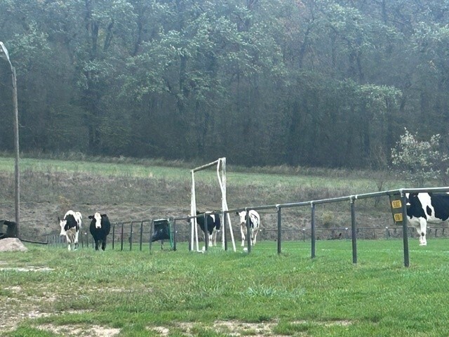 Occupation du terrain de football