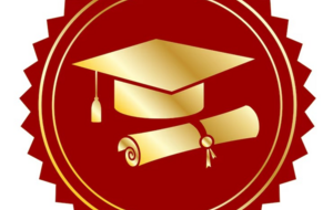 Diplôme Fédéral Responsable Ecole De Foot