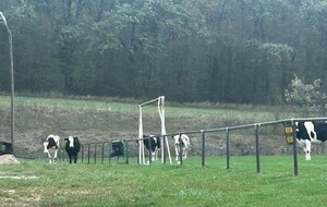 Occupation du terrain de football