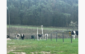 Occupation du terrain de football