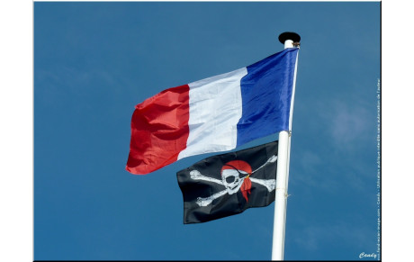 Info de la semaine (16 - 22 nov.)