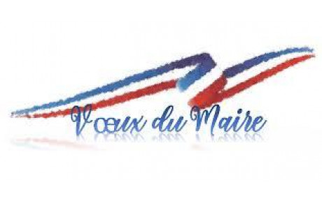 Voeux Mairie de Sainte-Marie