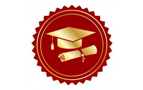 Diplôme Fédéral Responsable Ecole De Foot