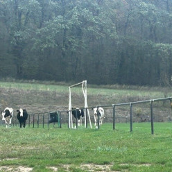 Occupation du terrain de football